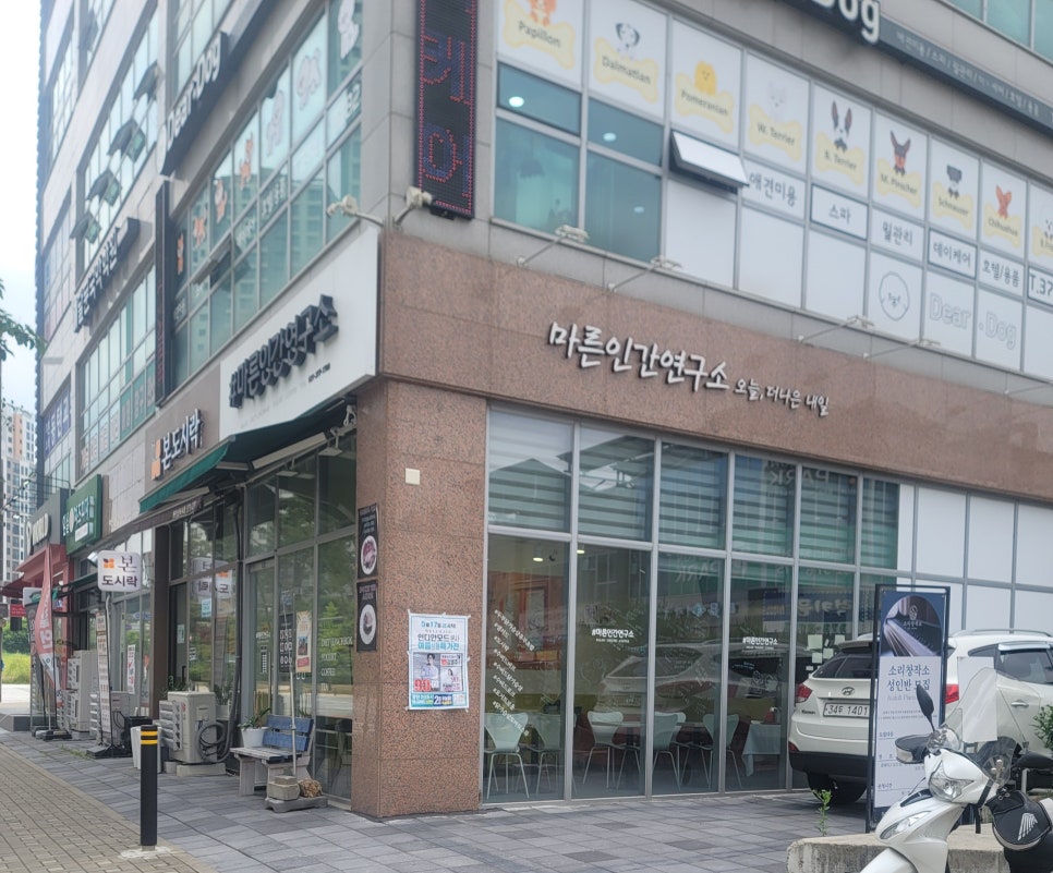 마른인간연구소 이미지