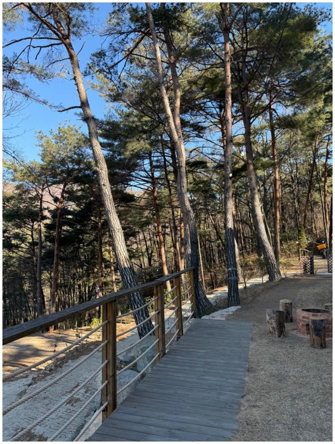 은하수펜션 이미지