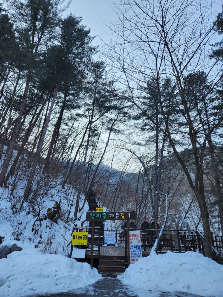 강씨봉자연휴양림 이미지