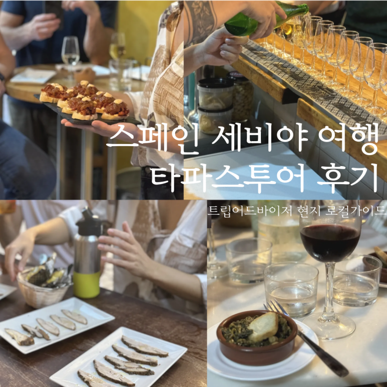 투어어드바이저 이미지