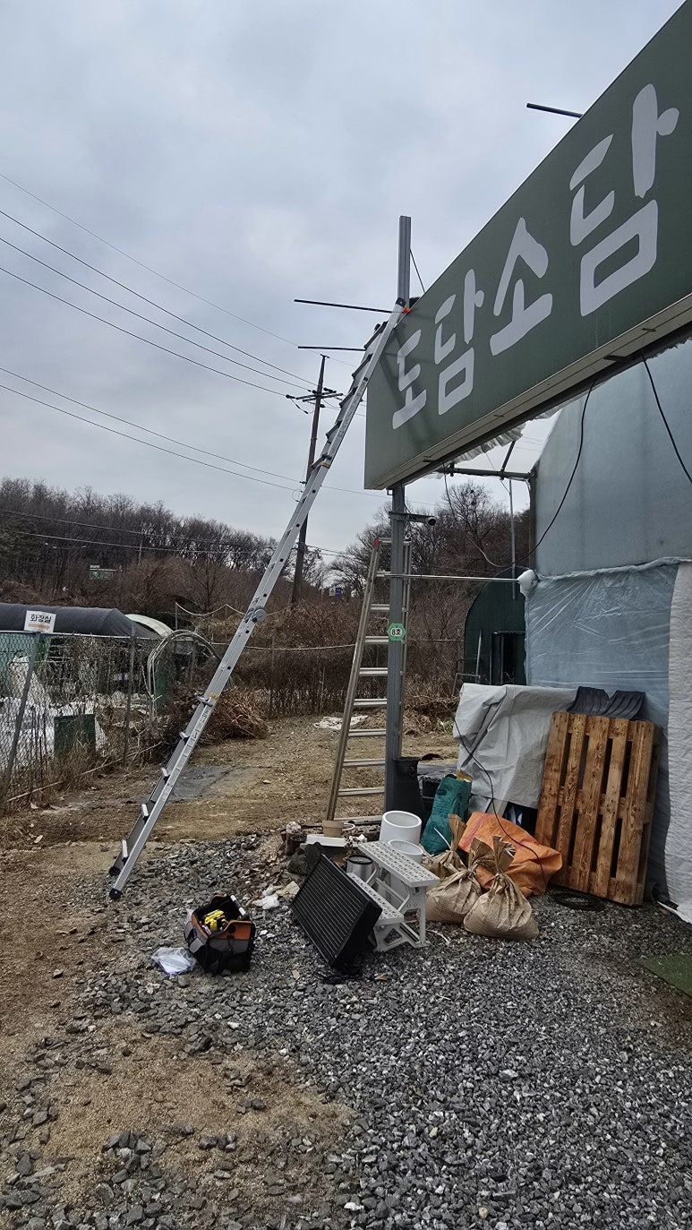 도담소담다육 이미지