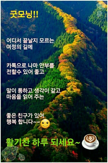 건강한하루 이미지