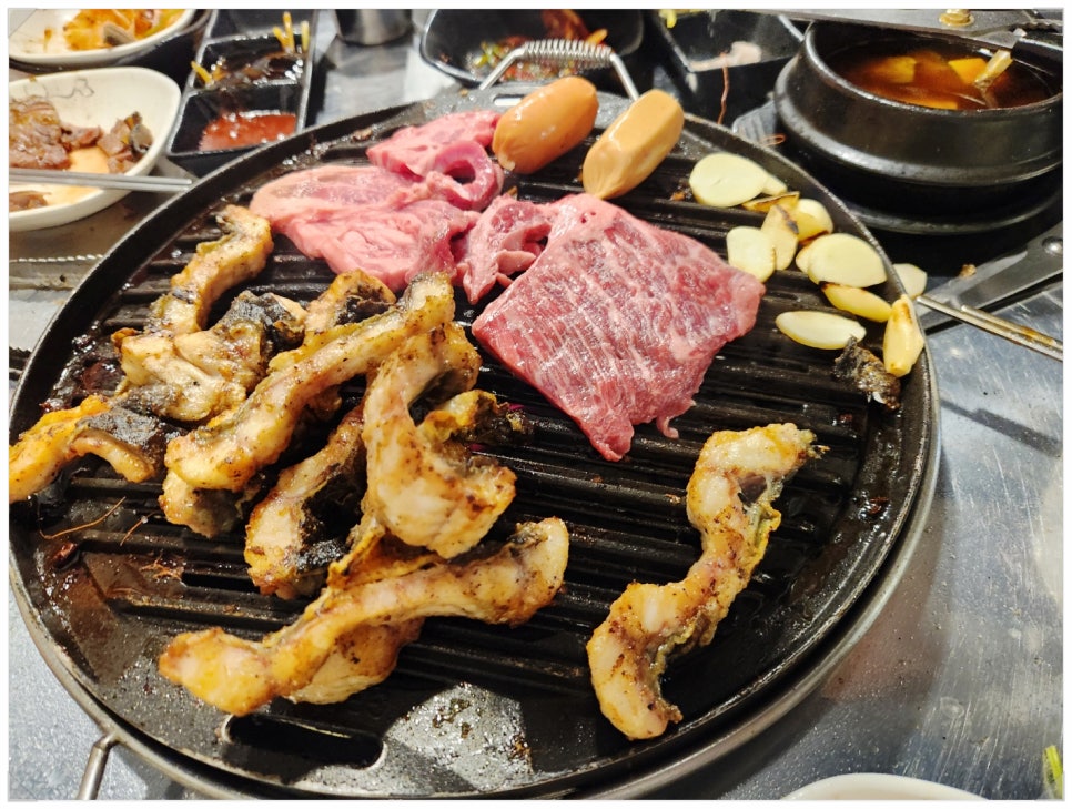 처음본명품민물장어 이미지