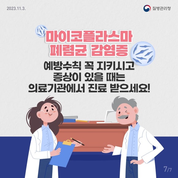 플라마 이미지