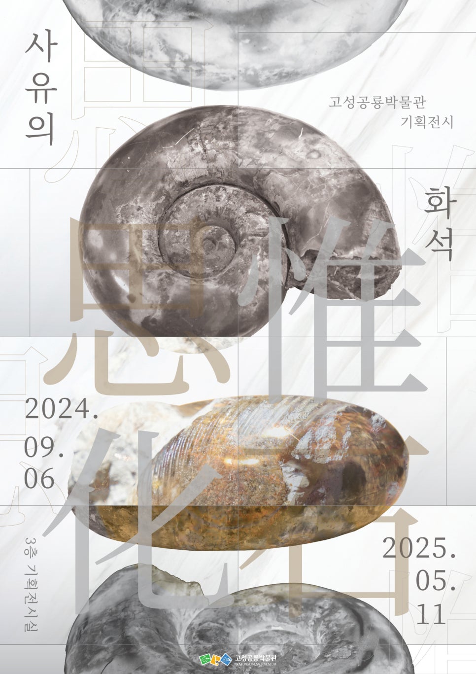 푸치토야 이미지