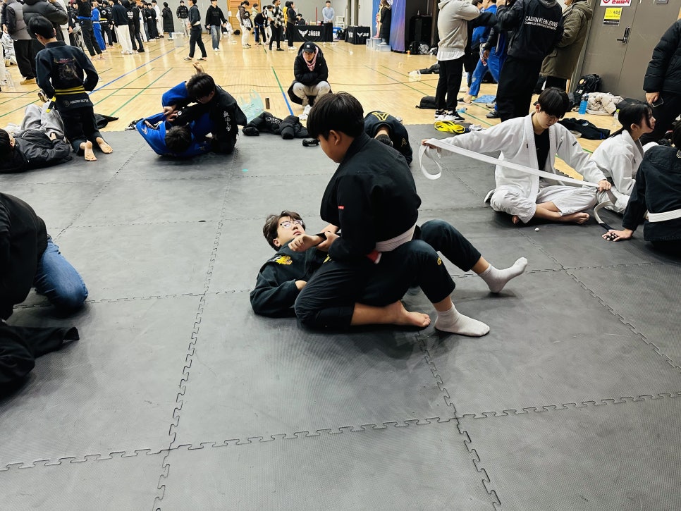 퍼팩트주짓수 이미지