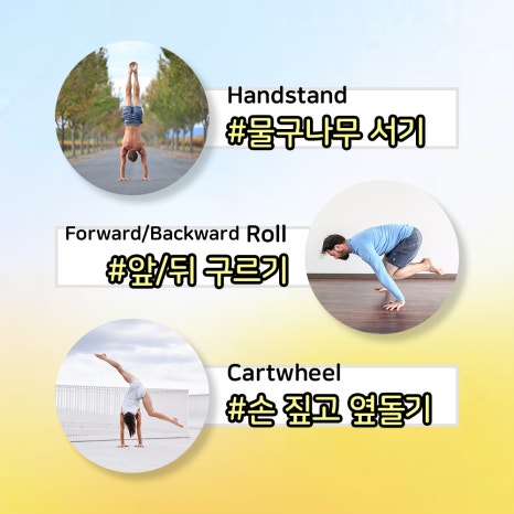 볼터아크로바틱센터 이미지