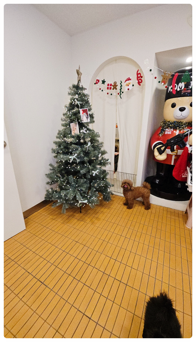 호텔맘 이미지