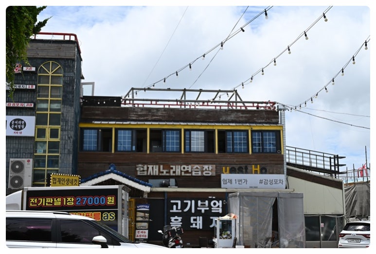 바다를품은돼지 이미지