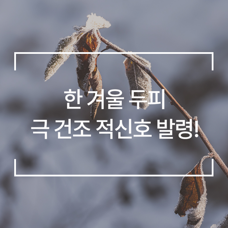 웰킨제주점 이미지