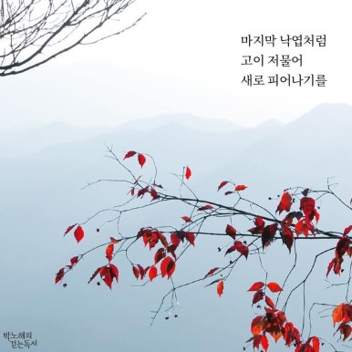 대왕골프 이미지