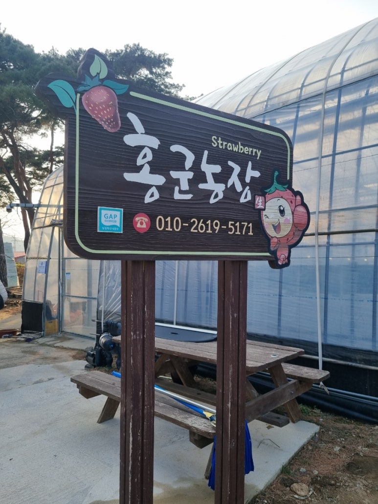 홍군농장 이미지