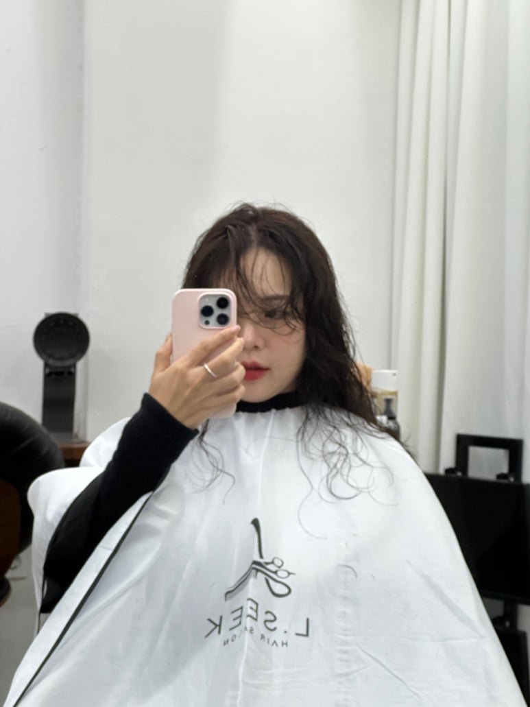 엘시크 이미지