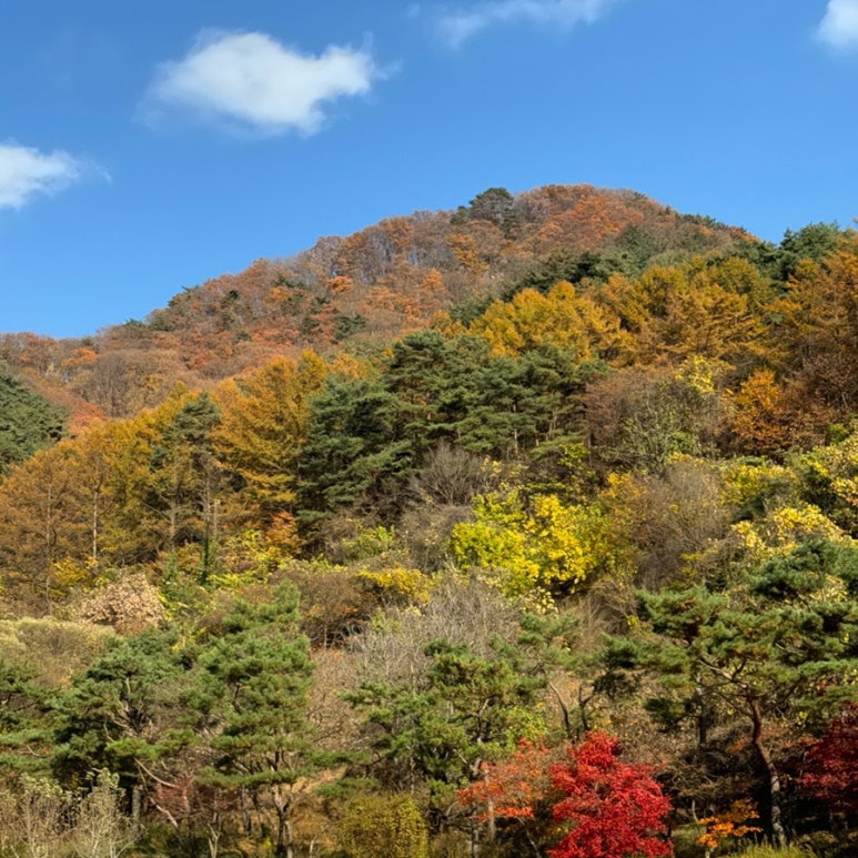 우니메이카 문경점 이미지