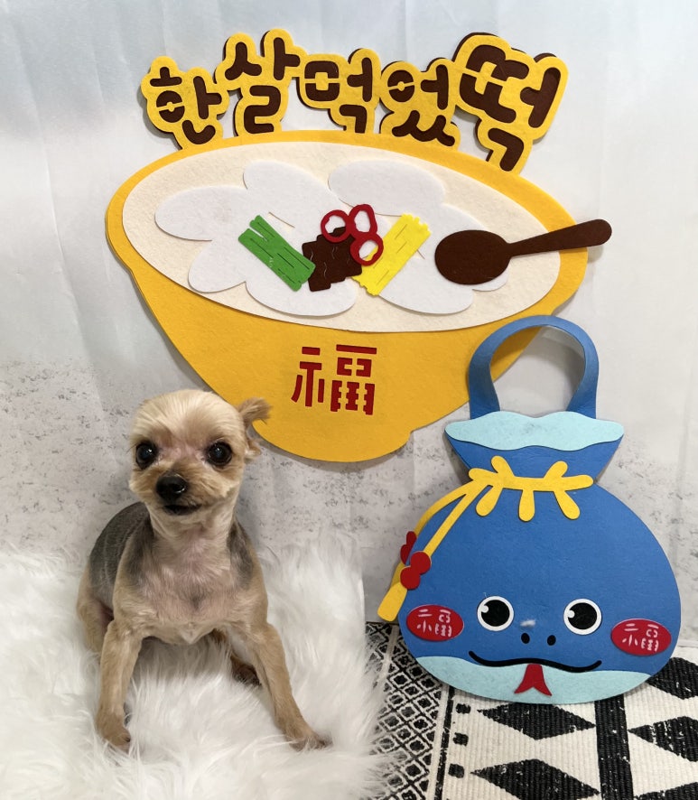 요미살롱 이미지