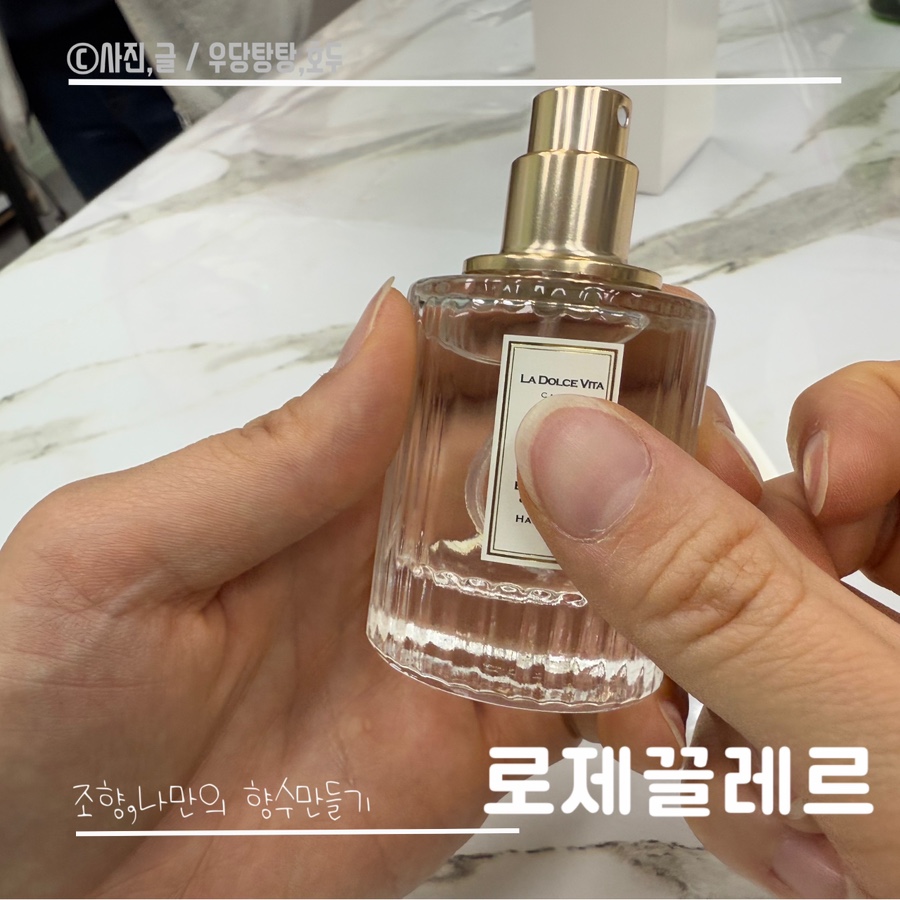 로제끌레르 이미지