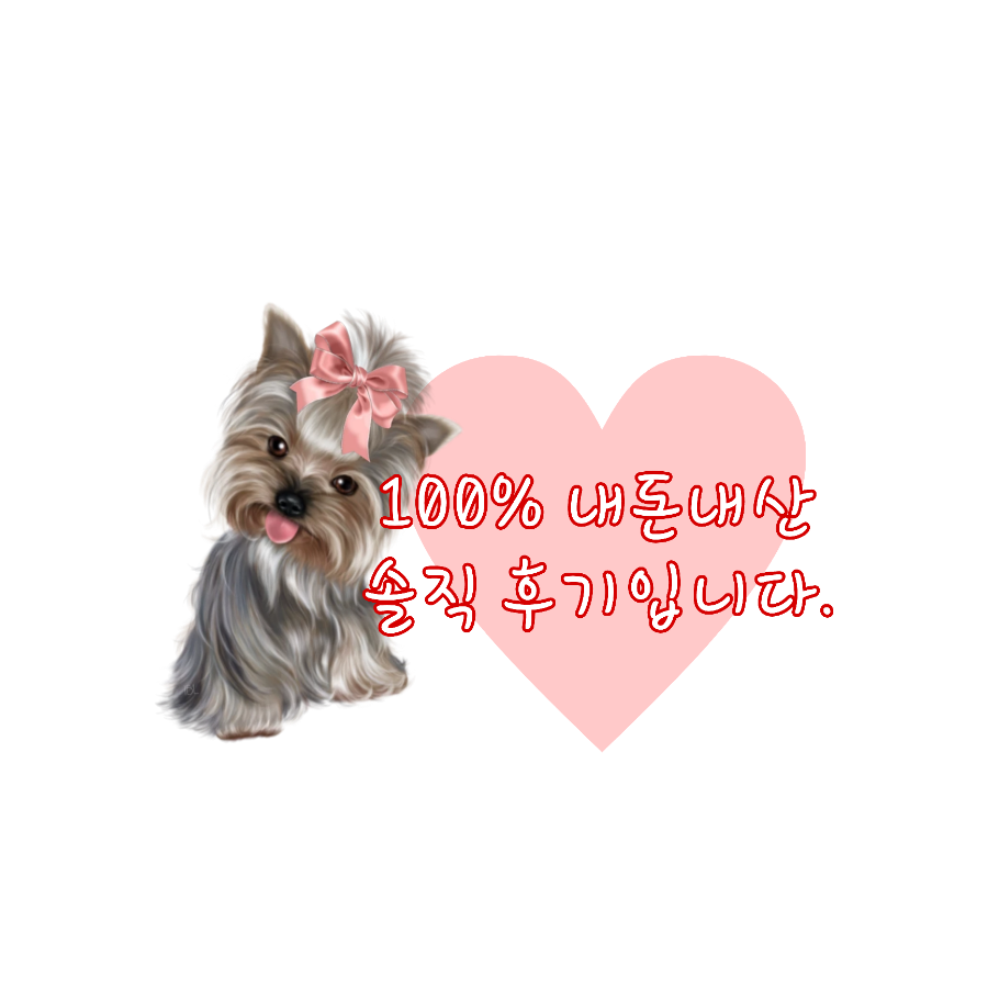 두꺼비네 이미지