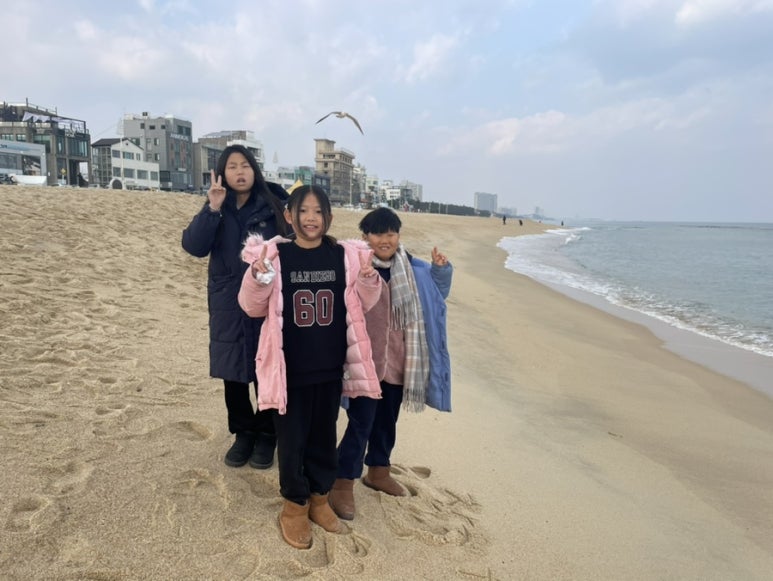 안목커피 이미지