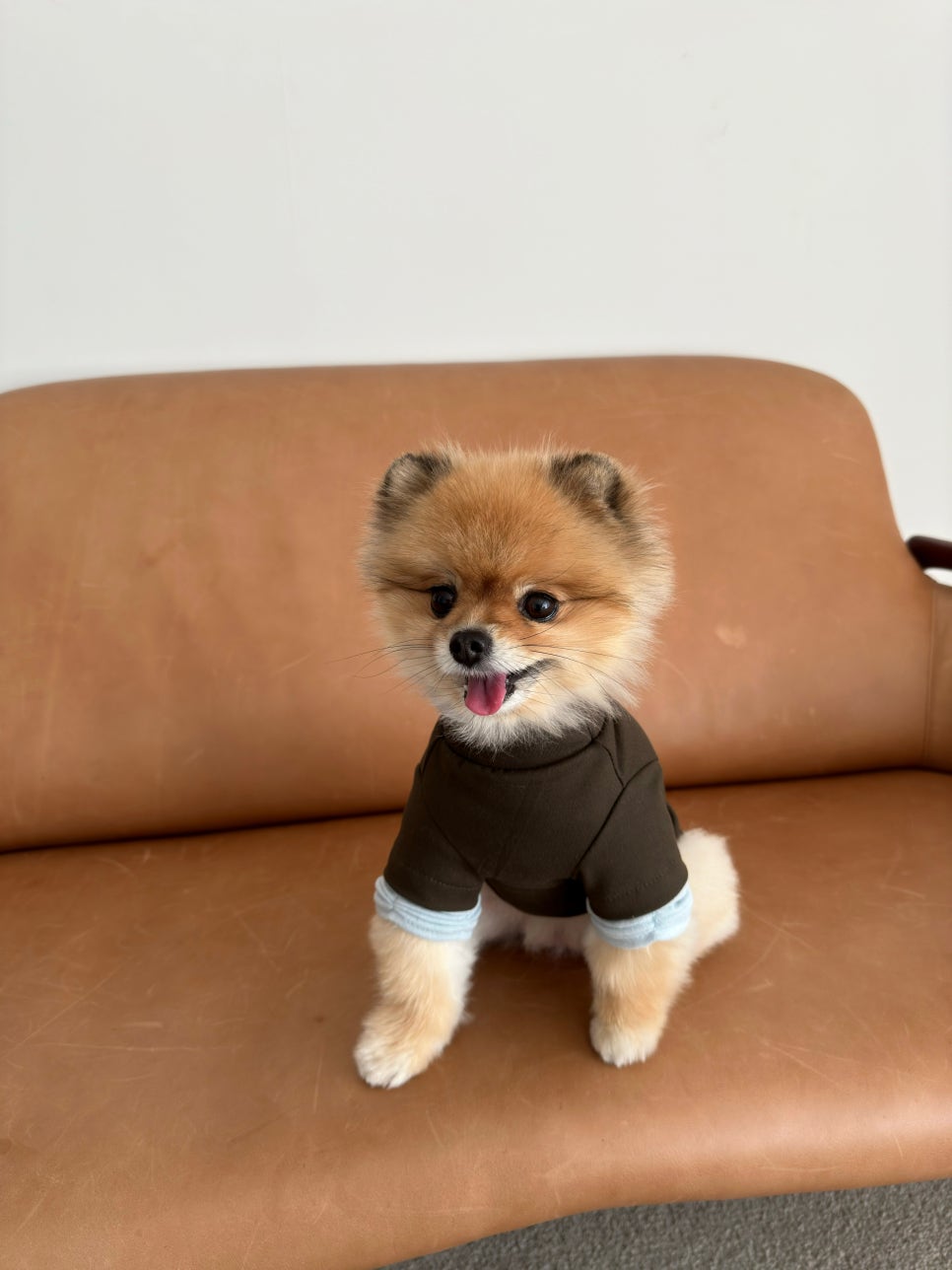 스킨즈 이미지