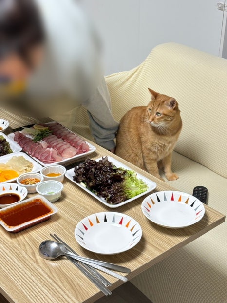 현수네횟집 이미지