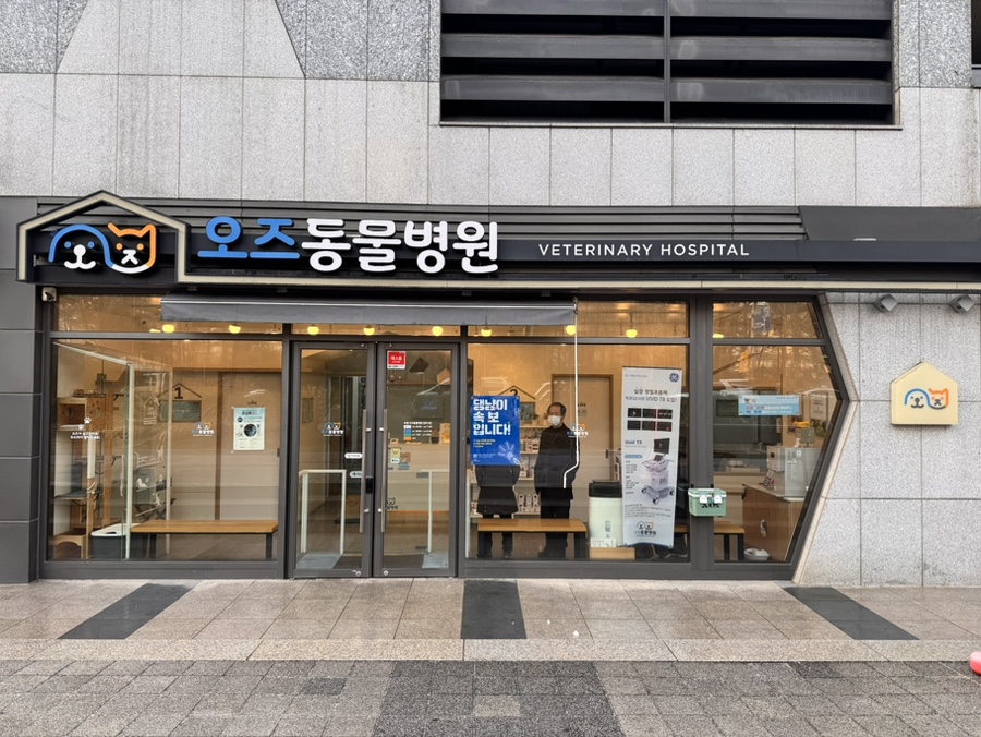 수원 강아지 건강검진: 오즈동물병원 과잉진료 없는 후기