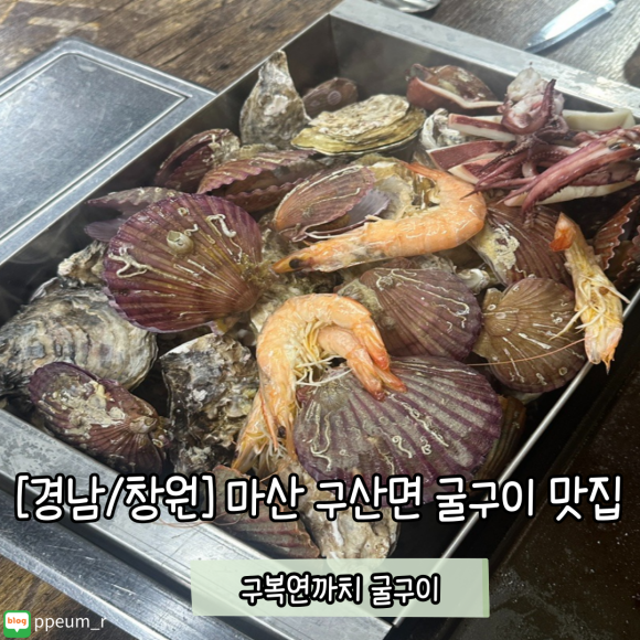 구복연까치 이미지