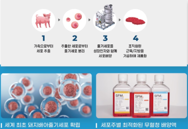 주식회사 뉴로팩 이미지