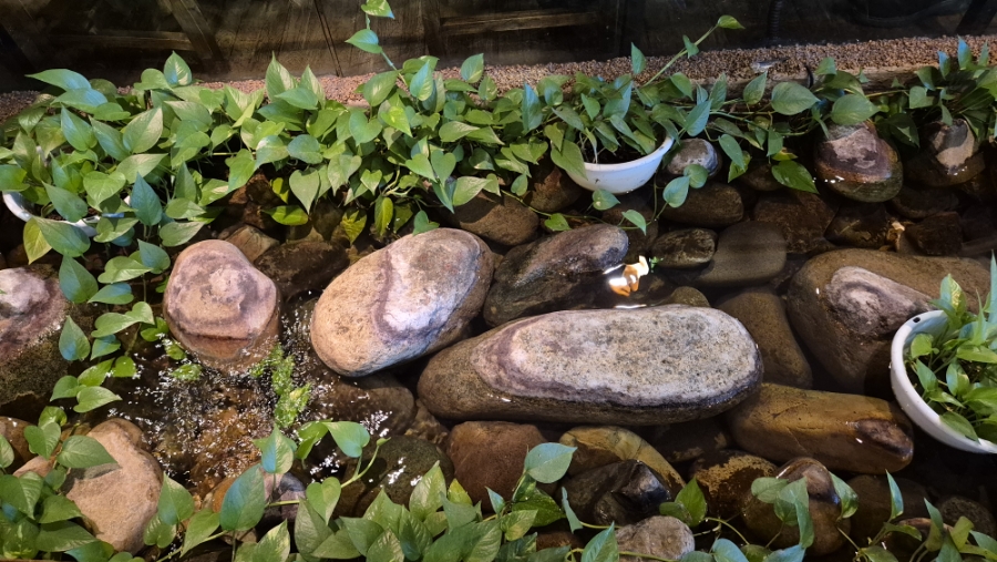 바르미샤브샤브&칼국수 이미지