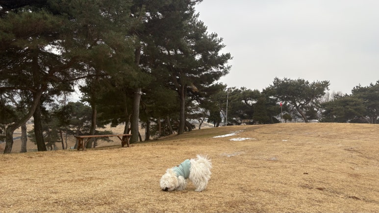 초정힐링캠핑장 이미지
