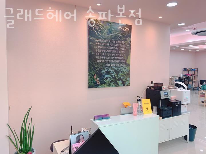 글래드헤어 이미지