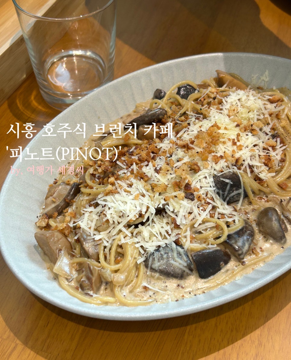 피노트 이미지