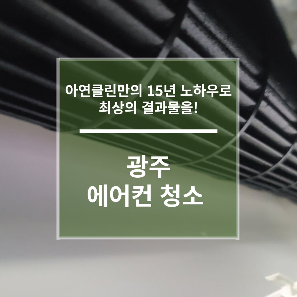 아연클린 이미지