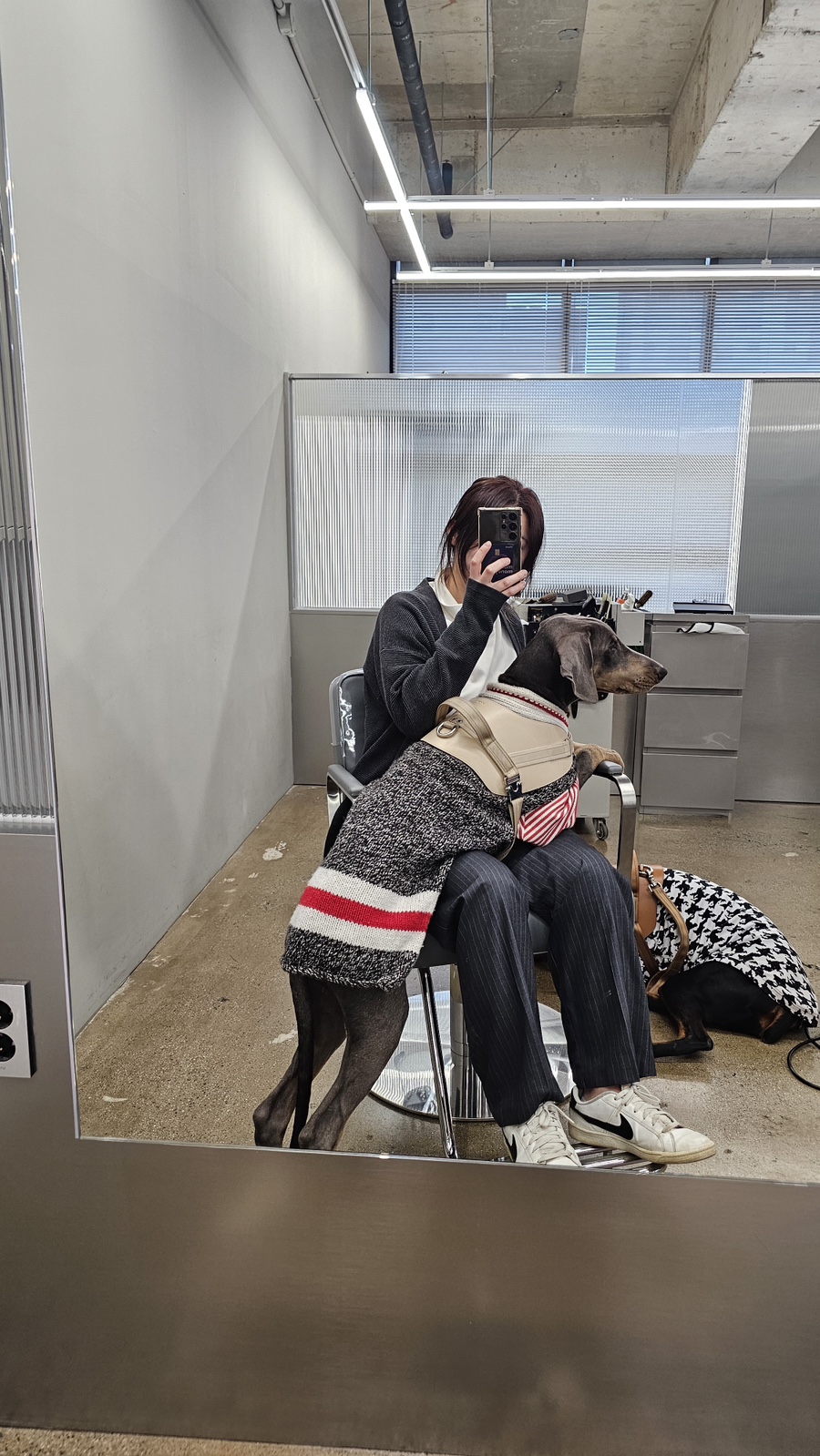 아르티크 이미지