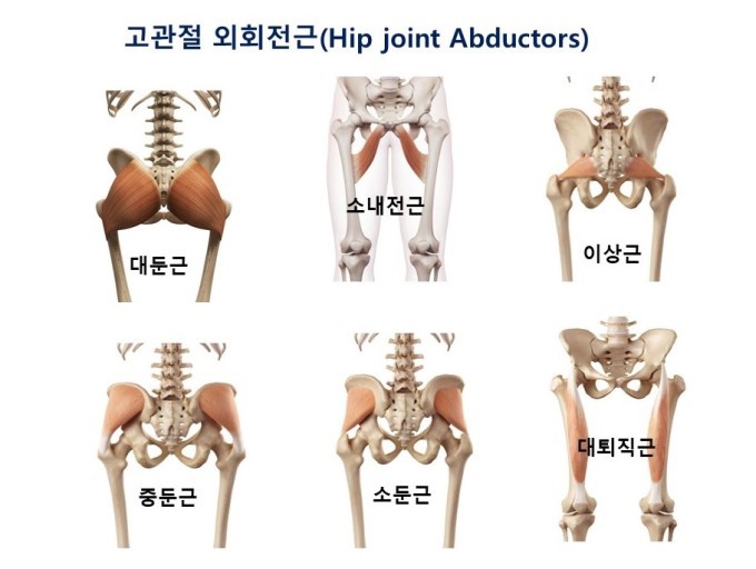 비식스PT 이미지