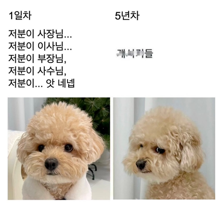 딤딤덕 이미지