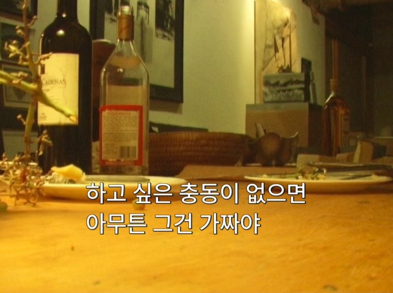 요나스 이미지