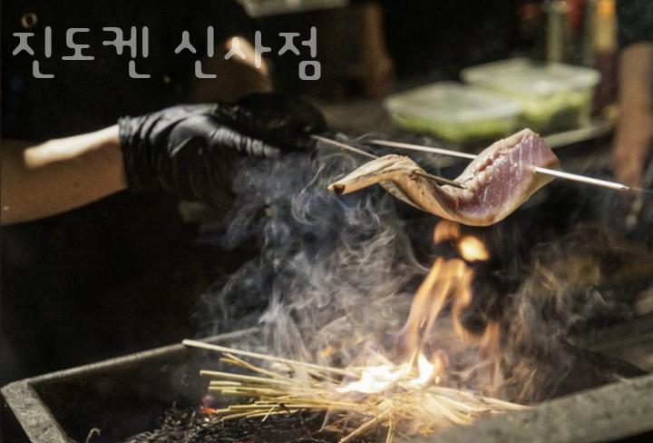 진도켄 이미지