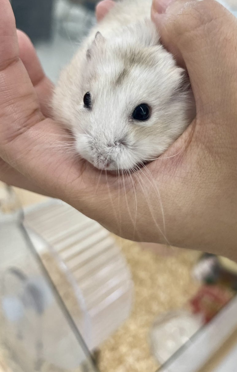 그로잉살롱북수원SK 이미지