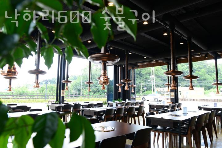 낙하리600 이미지