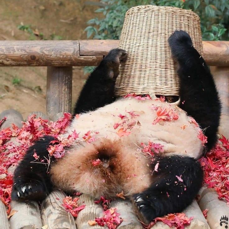 미사고방 이미지