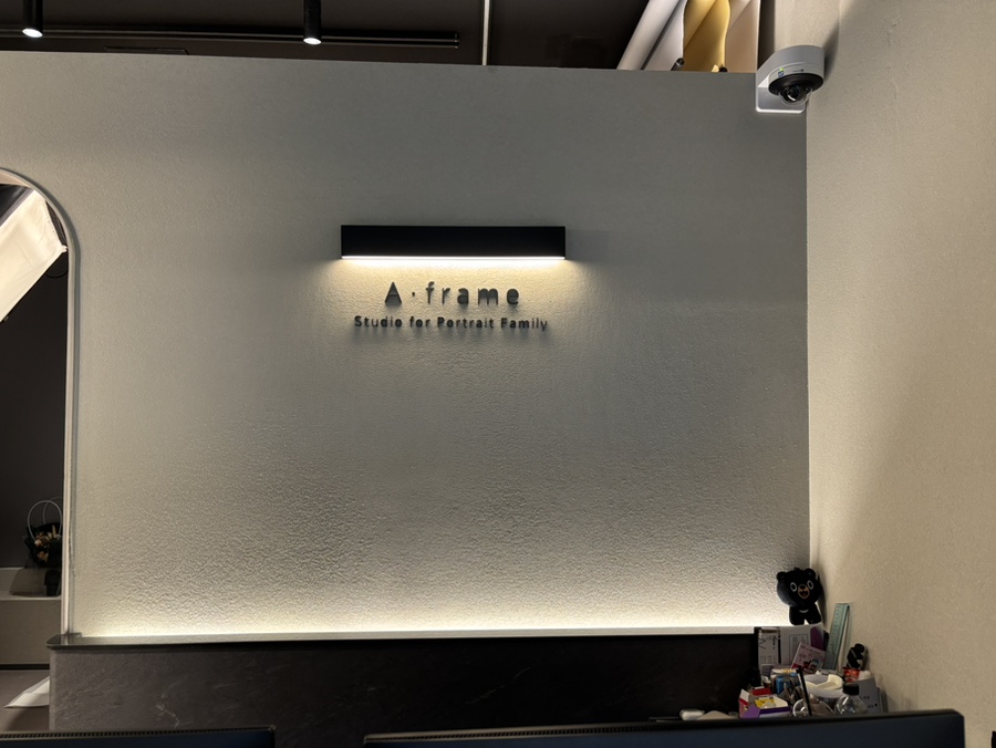 마포역 반려동물 사진관, 비숑 프로필 잘 찍는 곳 — 사진 2