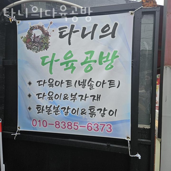 타니의다육공방 이미지