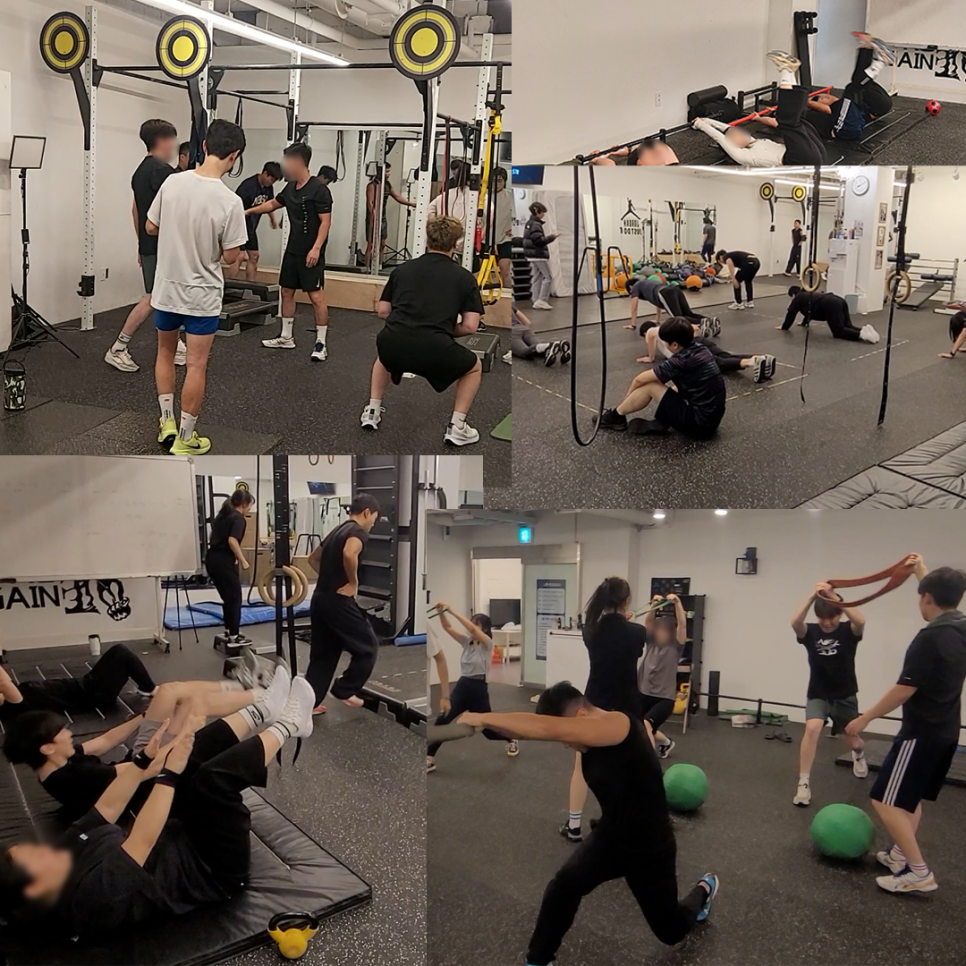 핏온짐 이미지