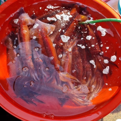 아빠의손맛 이미지