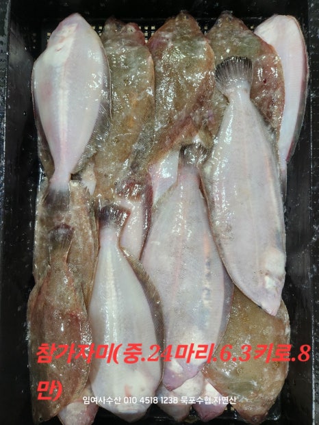 임여사수산 이미지