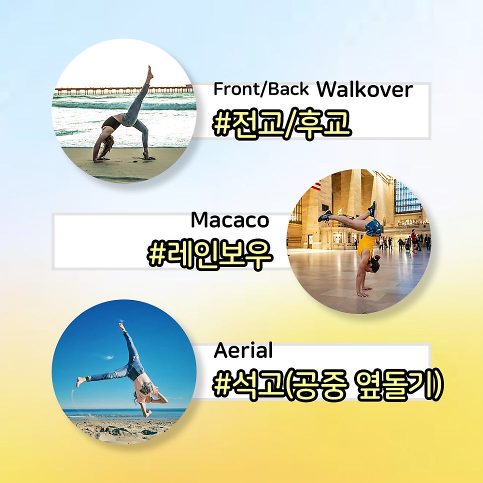 볼터아크로바틱센터 이미지