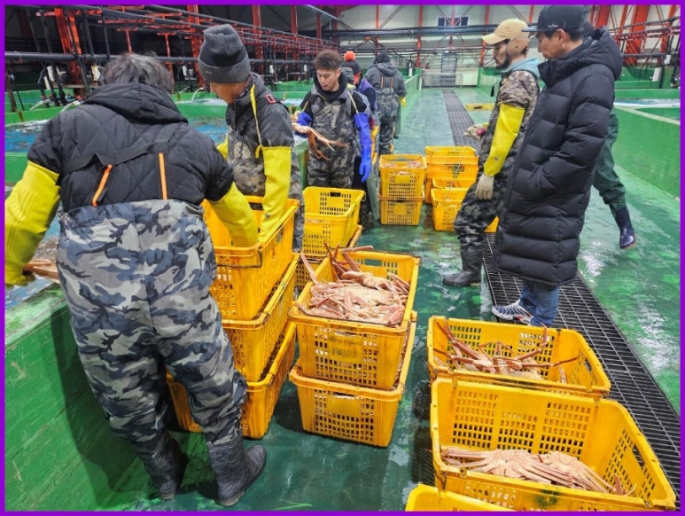 천상대게 이미지