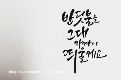 반딧불문구 이미지