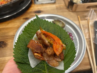 노을보러왔굴 이미지