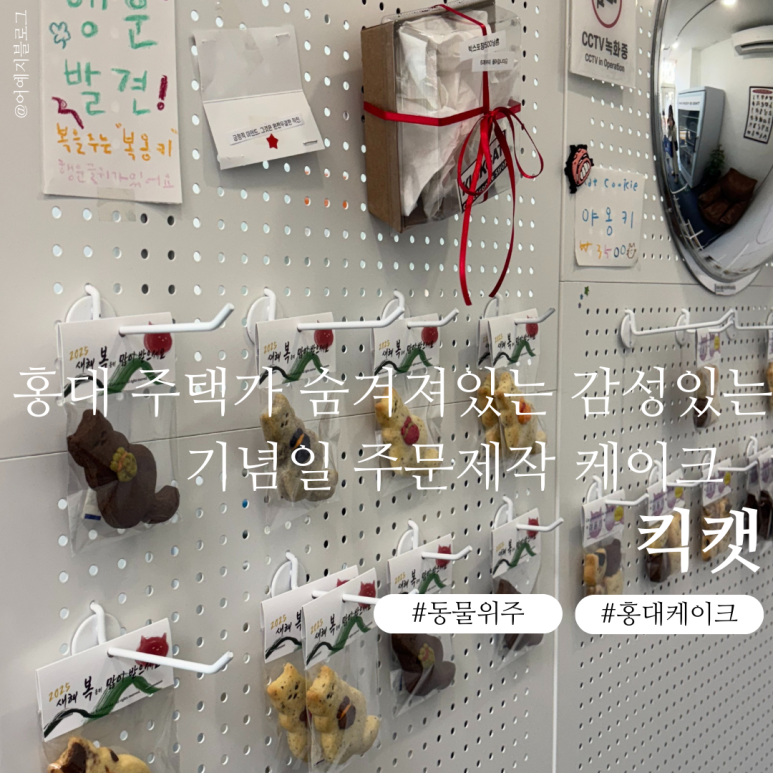 킥캣 이미지
